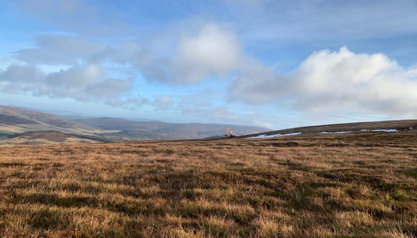 Peatland Restoration Project Design